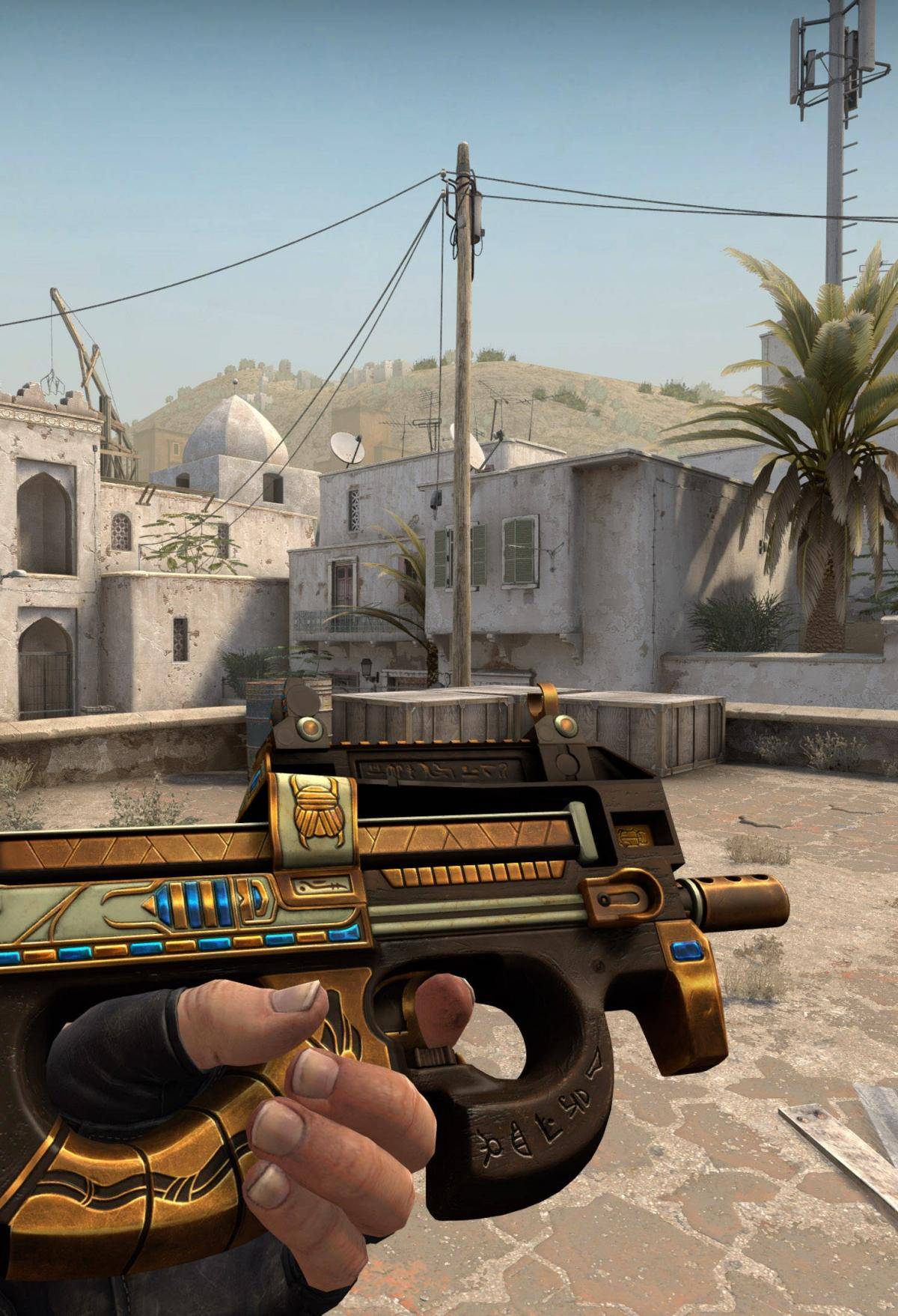 随着主持人 随着主持人